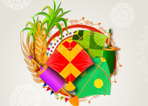 How Indians Celebrate Makar Sankranti?