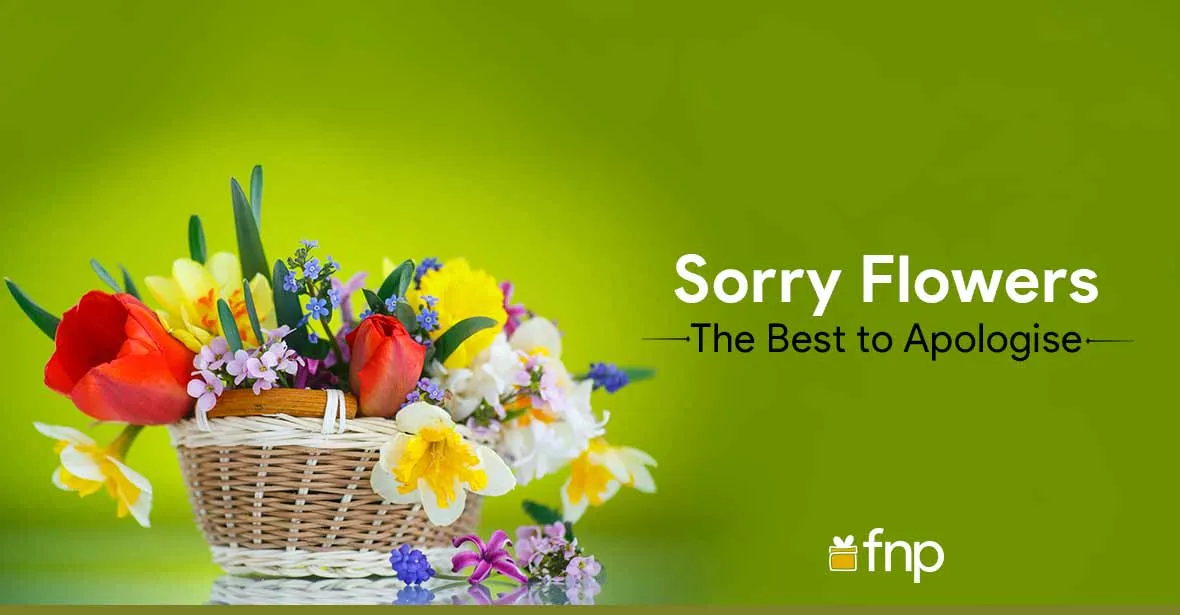 Sorry Flowers