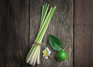 Benefits of Growing Lemongrass Plant