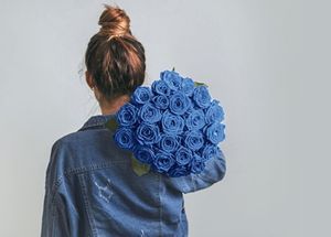 Interesting Facts About the Rare Blue Rose