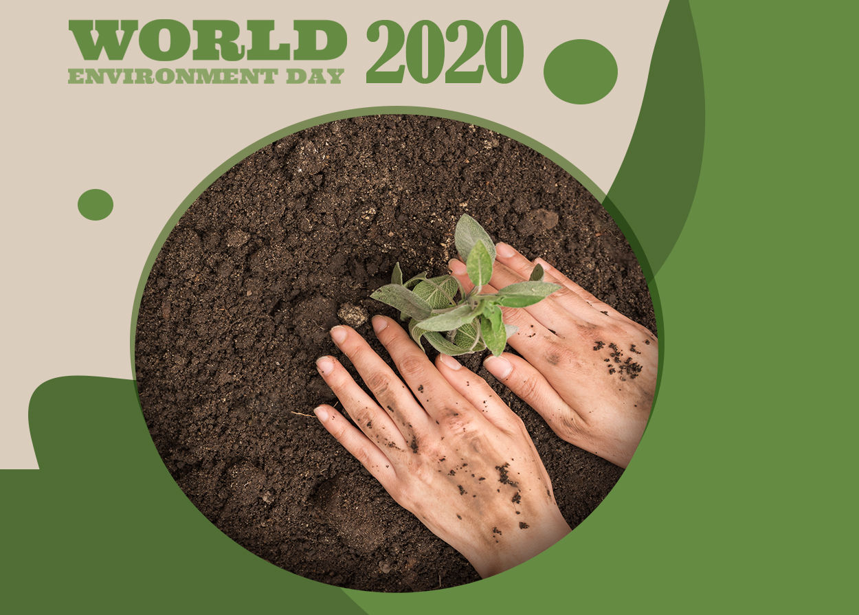 What is the theme for World Environment Day 2020?