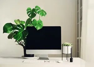 Office Décor Ideas to Create a Positive Aura